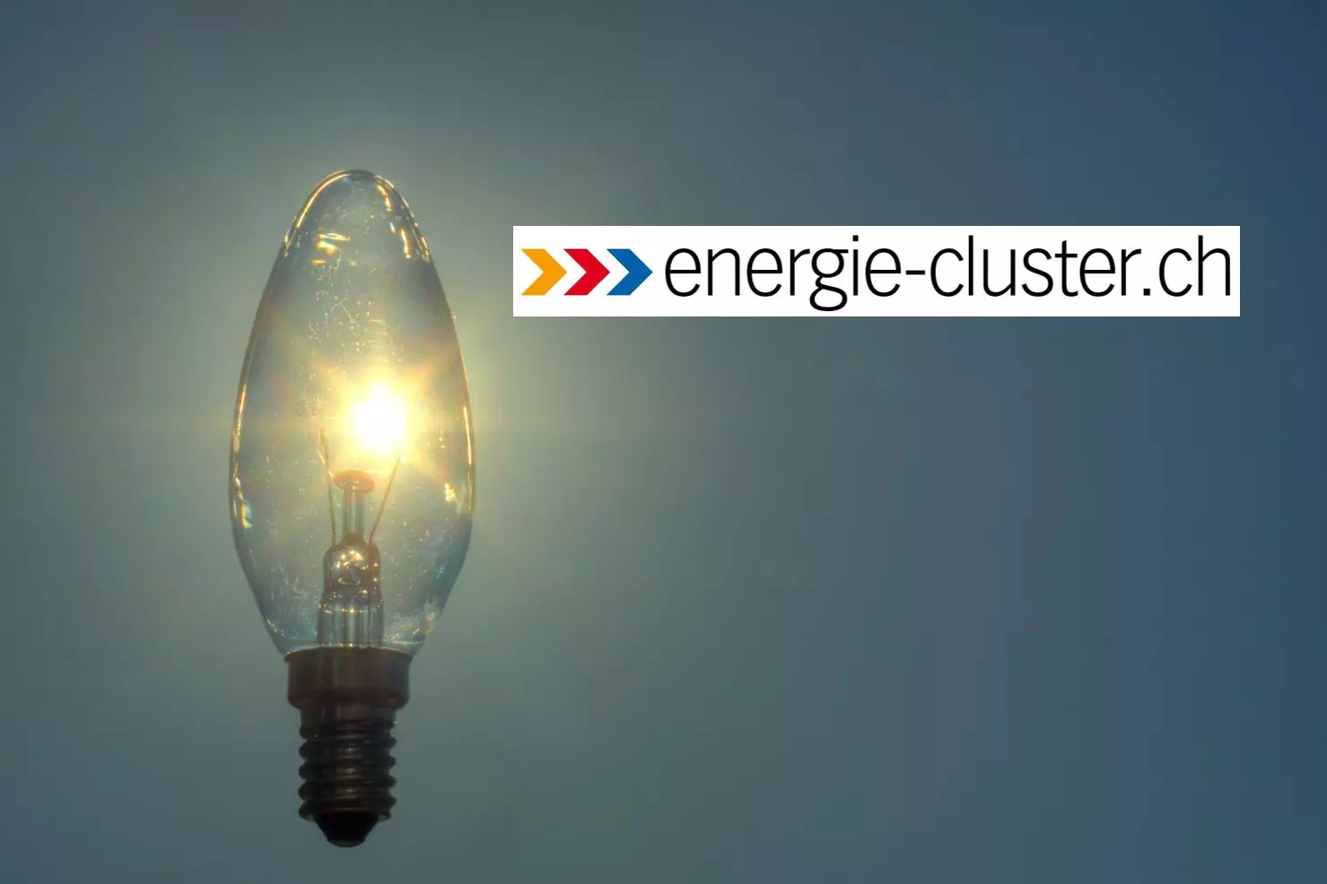 Das Bild zeigt das Logo des energie-cluster.ch