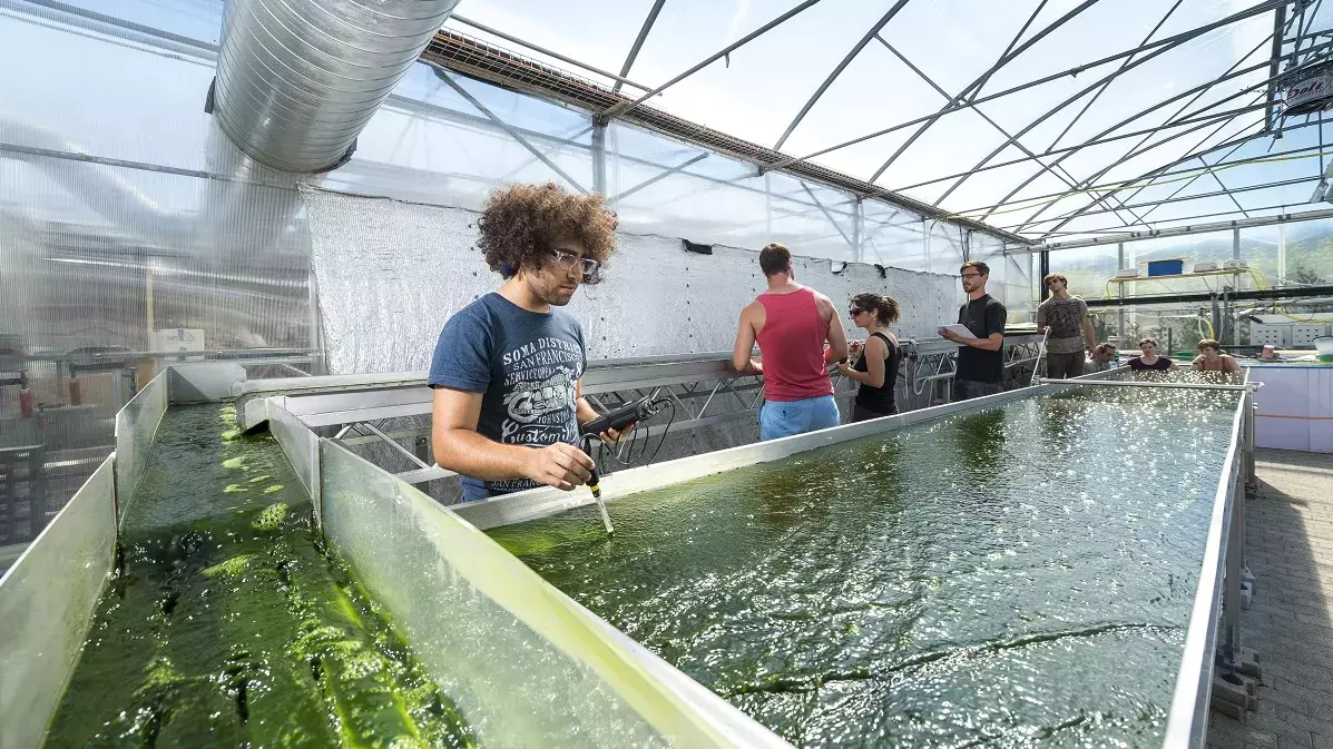 Studierende führen Messungen an einer Aquakulturanlage durch.