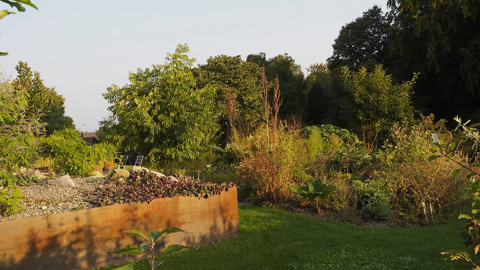 In the TCM Medicinal Plant Garden