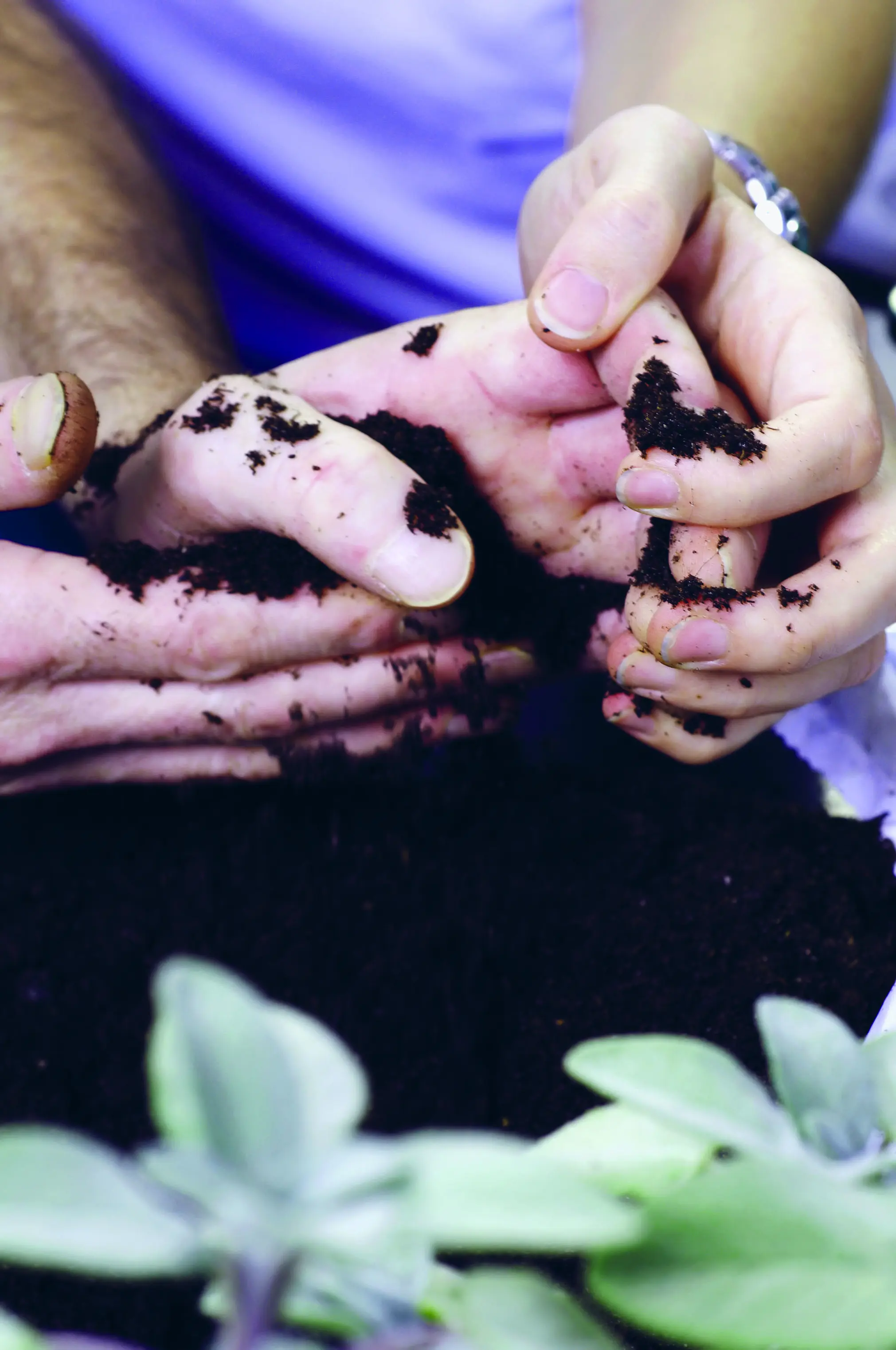 Erste Fachleute in Gartentherapie ausgebildet