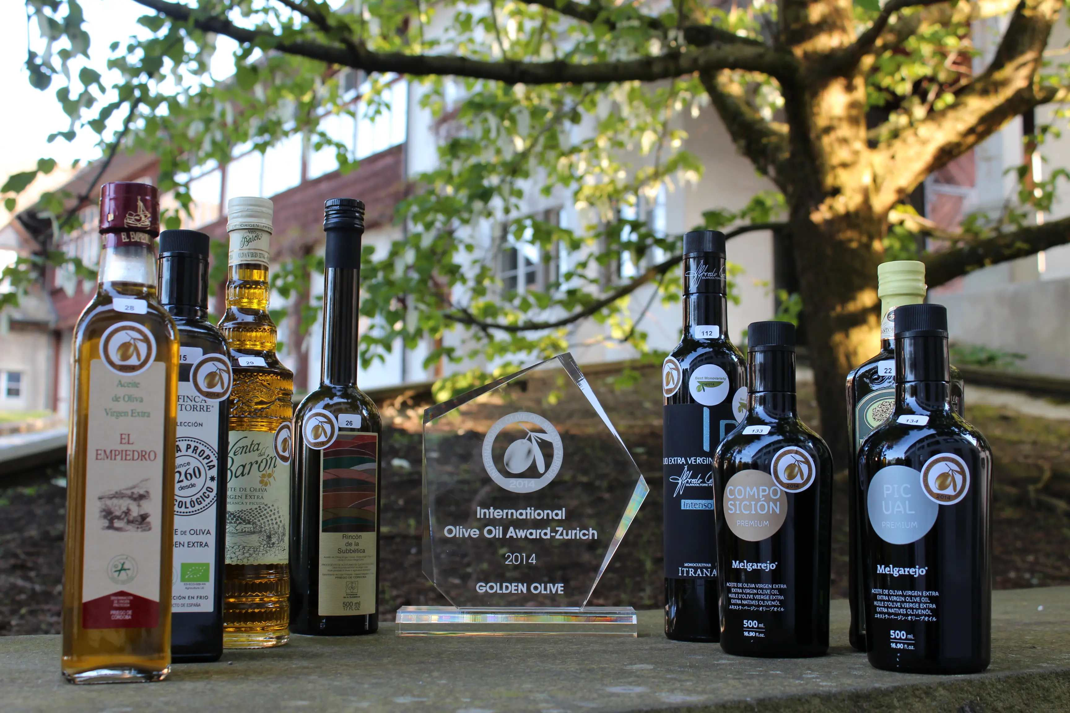 Hohe Qualität der Olivenöle am internationalen Olive Oil Award 2014