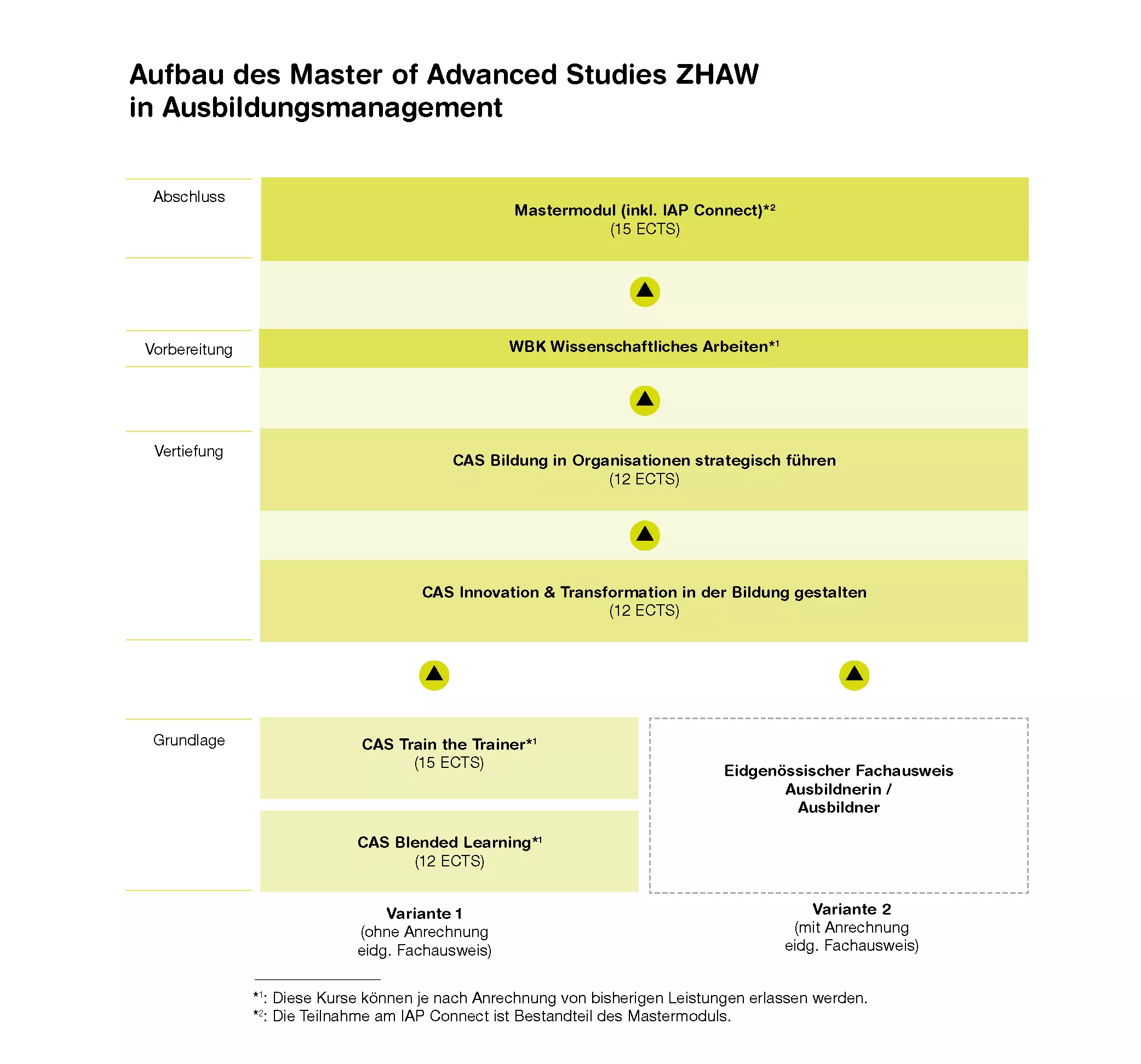 Grafik MAS Ausbildungsmanagement