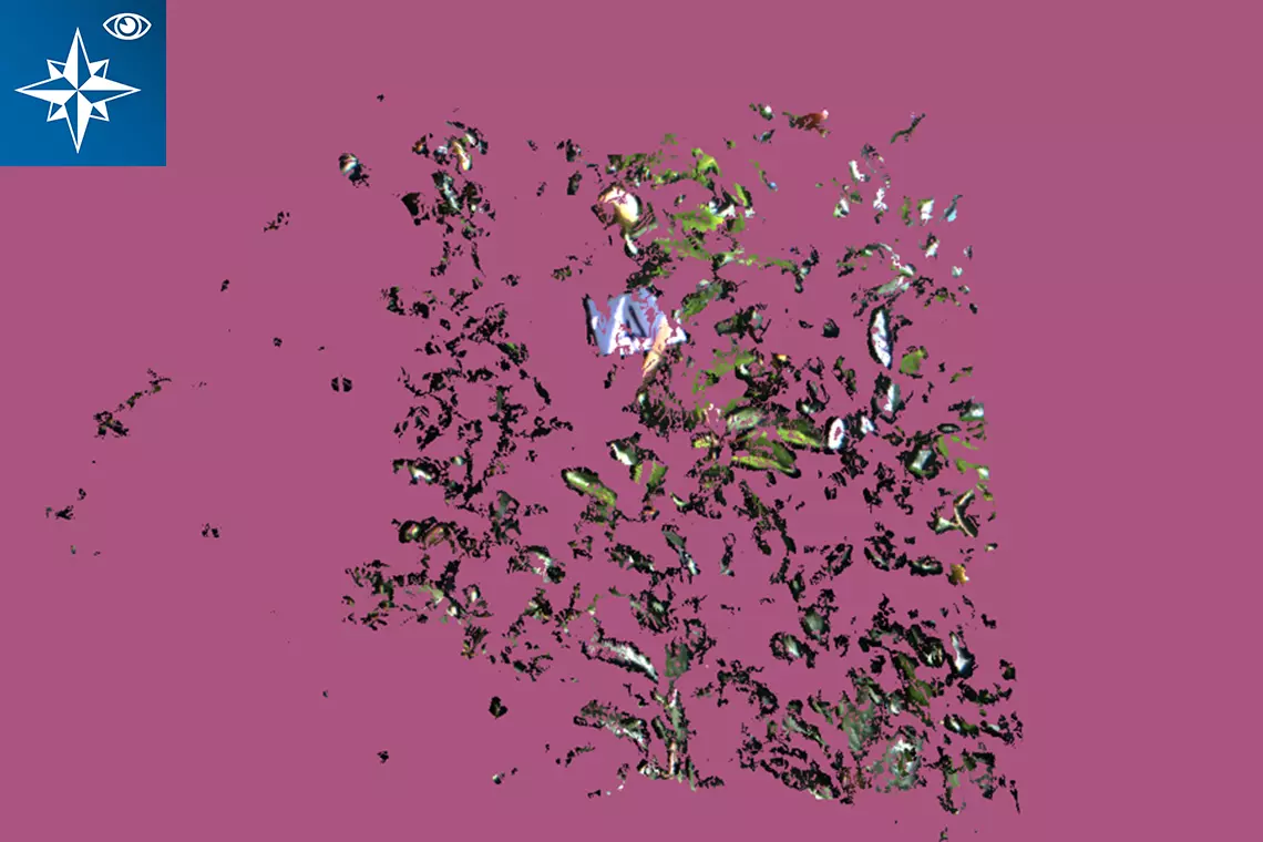 3D Mosaic: Intelligentes Plantagen-Management 3D Mosaic: Intelligentes Plantagen-Management