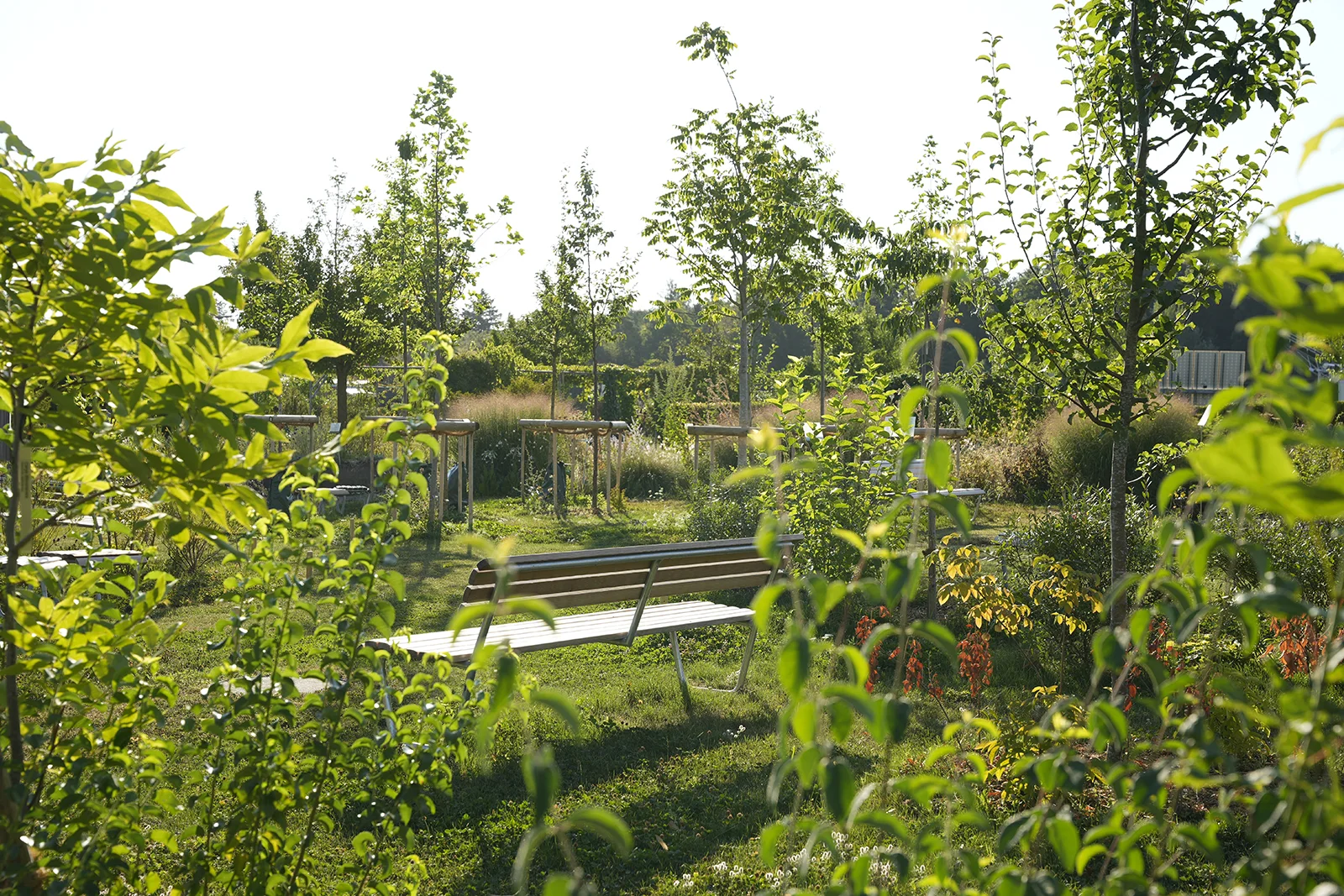 Klimagarten des IUNR
