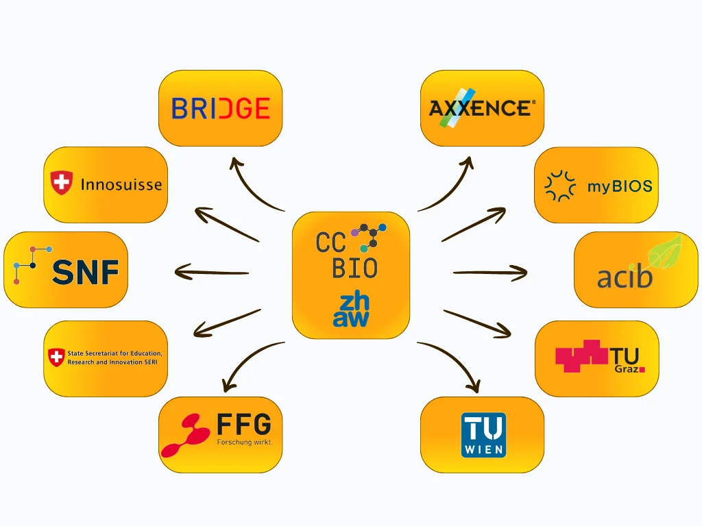 Übersichtsgrafik zu den Kooperationen des CCBIO (ZHAW). Vom Zentrum aus führen Verbindungen zu folgenden Partnern und Förderinstitutionen: Innosuisse, BRIDGE, SNF, SERI (Staatssekretariat für Bildung, Forschung und Innovation), FFG, TU Wien, TU Graz, acib, myBIOS und Axxence.