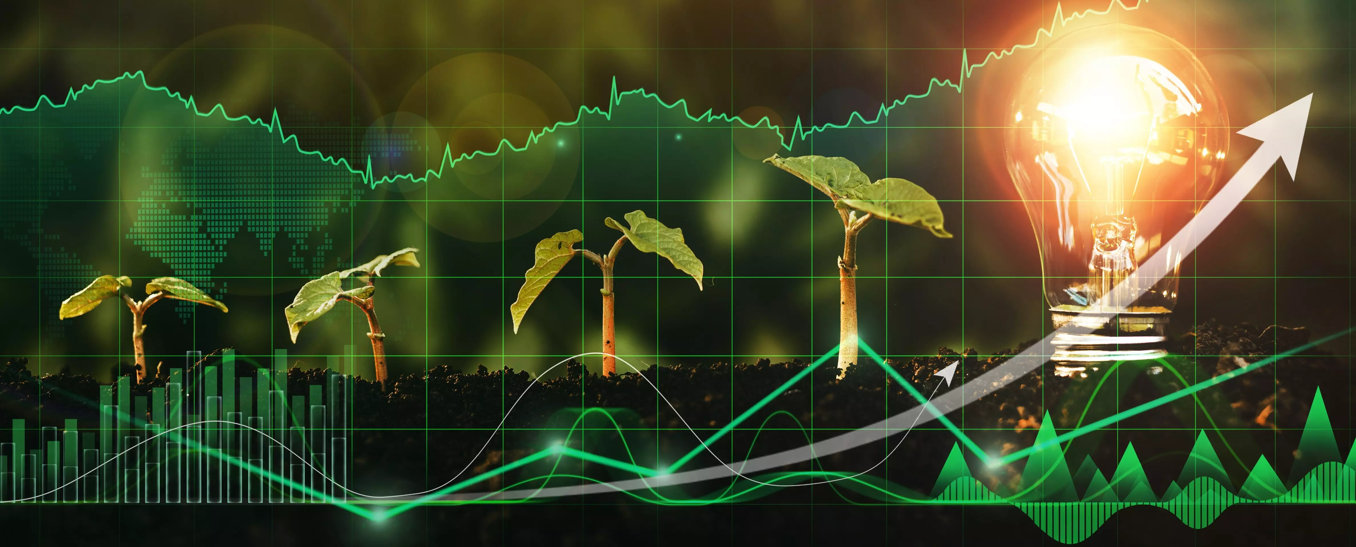 Lightbulb is located on the soil, and plant are growing with digital growth graph. Alternative sources of energy. Green energy, eco energy concept.Renewable energy generation is essential.