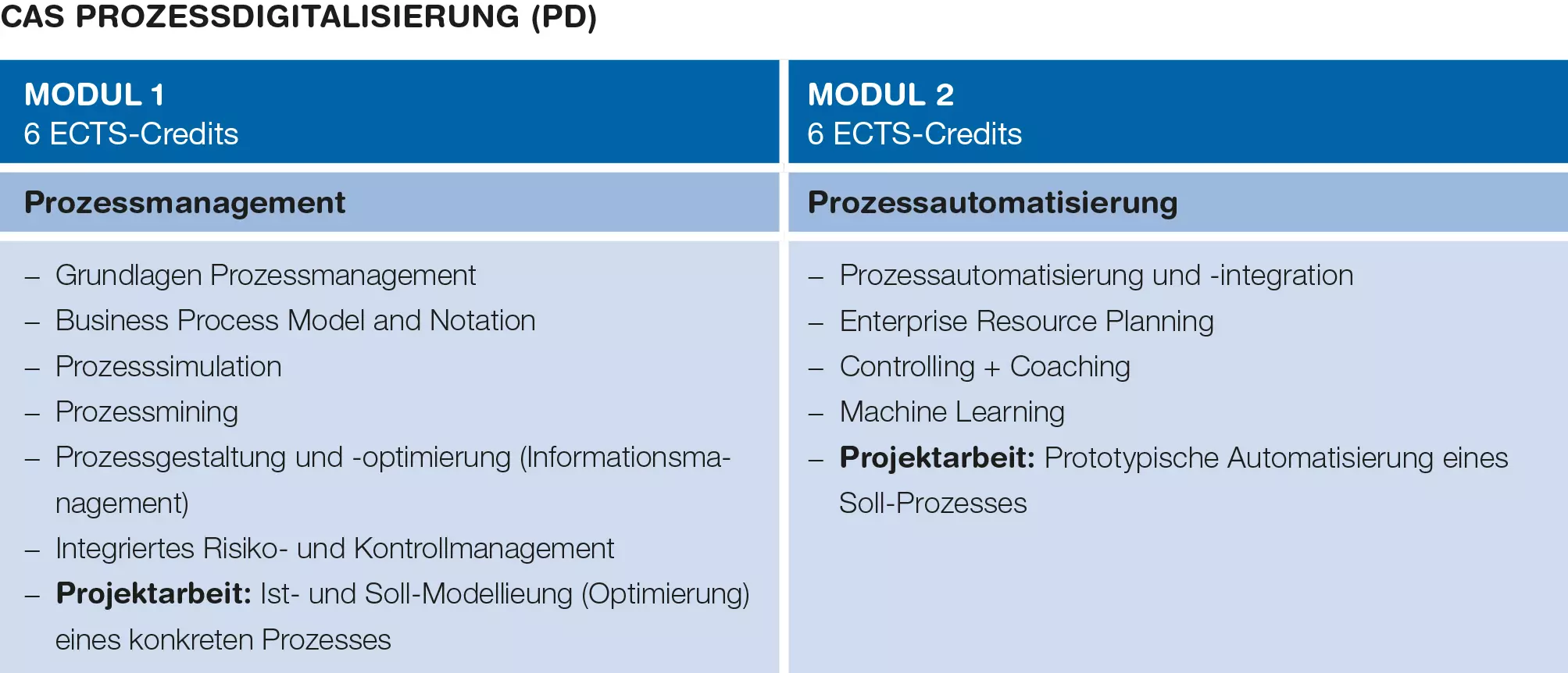 Modulübersicht CAS Prozessdigitalisierung