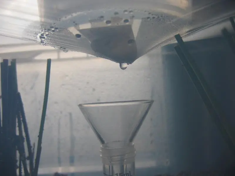 Cleaning water - evapotranspiration box