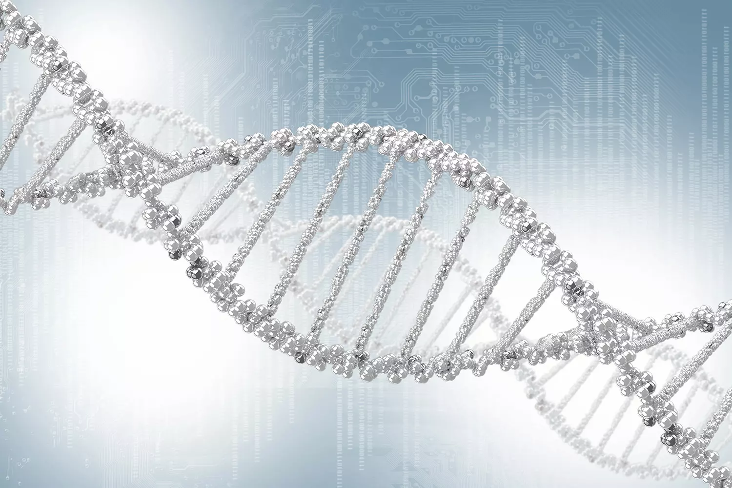 Genetische Algorithmen orientieren sich an der biologischen Genetik und Evolution.