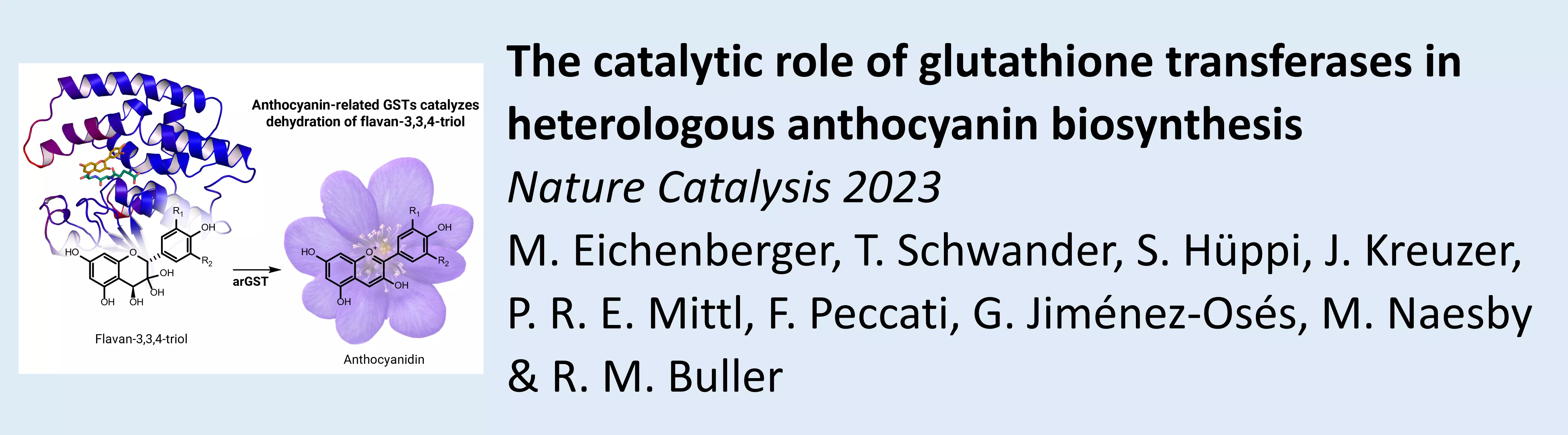 From nature to industry: Harnessing enzymes for biocatalysis