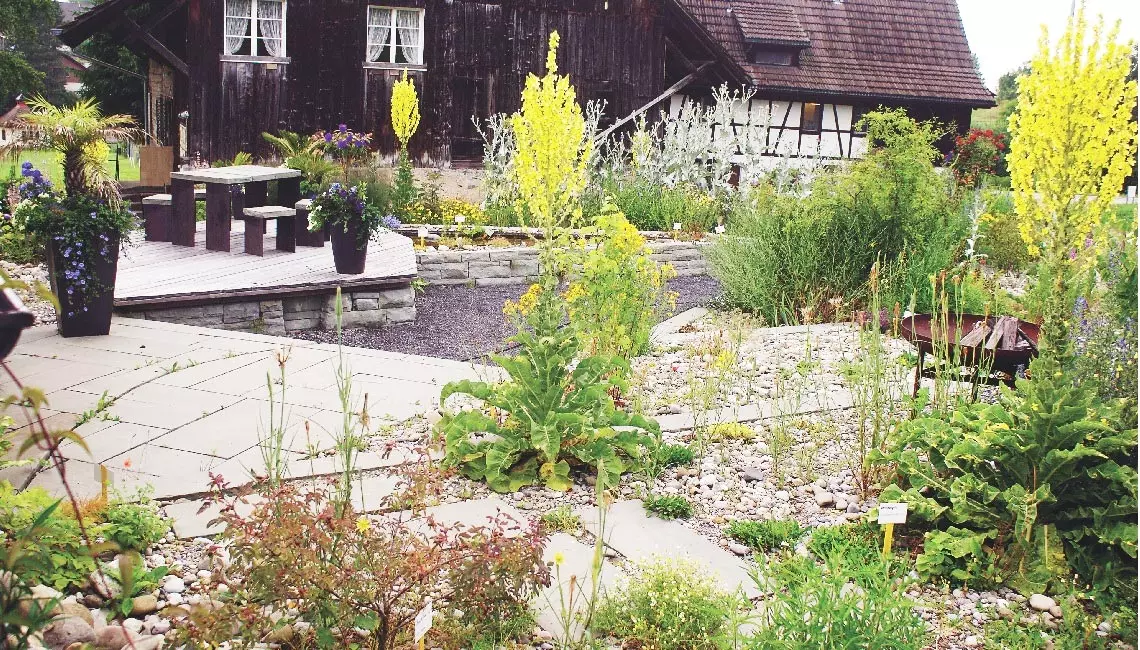 Lehrgang Naturnaher Garten- und Landschaftsbau