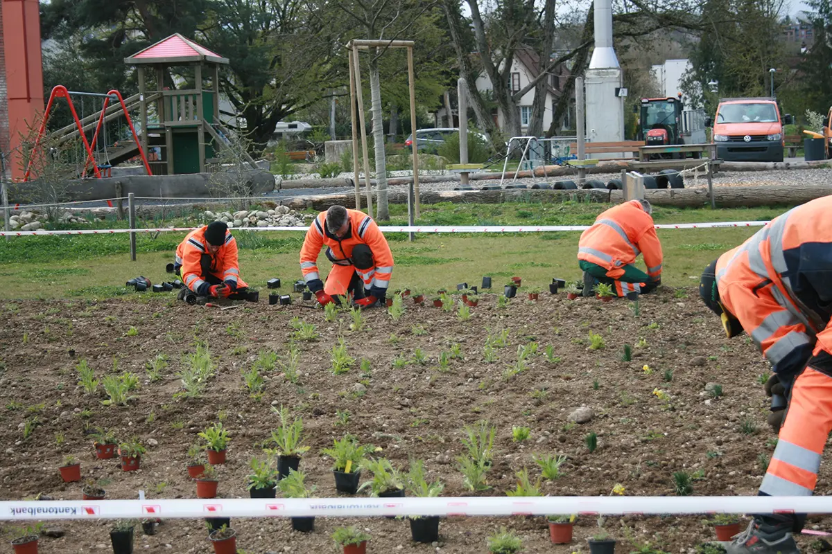 Die Gärtner bei der Arbeit, Bild: Doris Tausendpfund