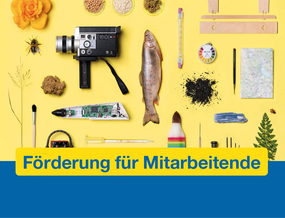 Visualtext: Förderung für Mitarbeitende