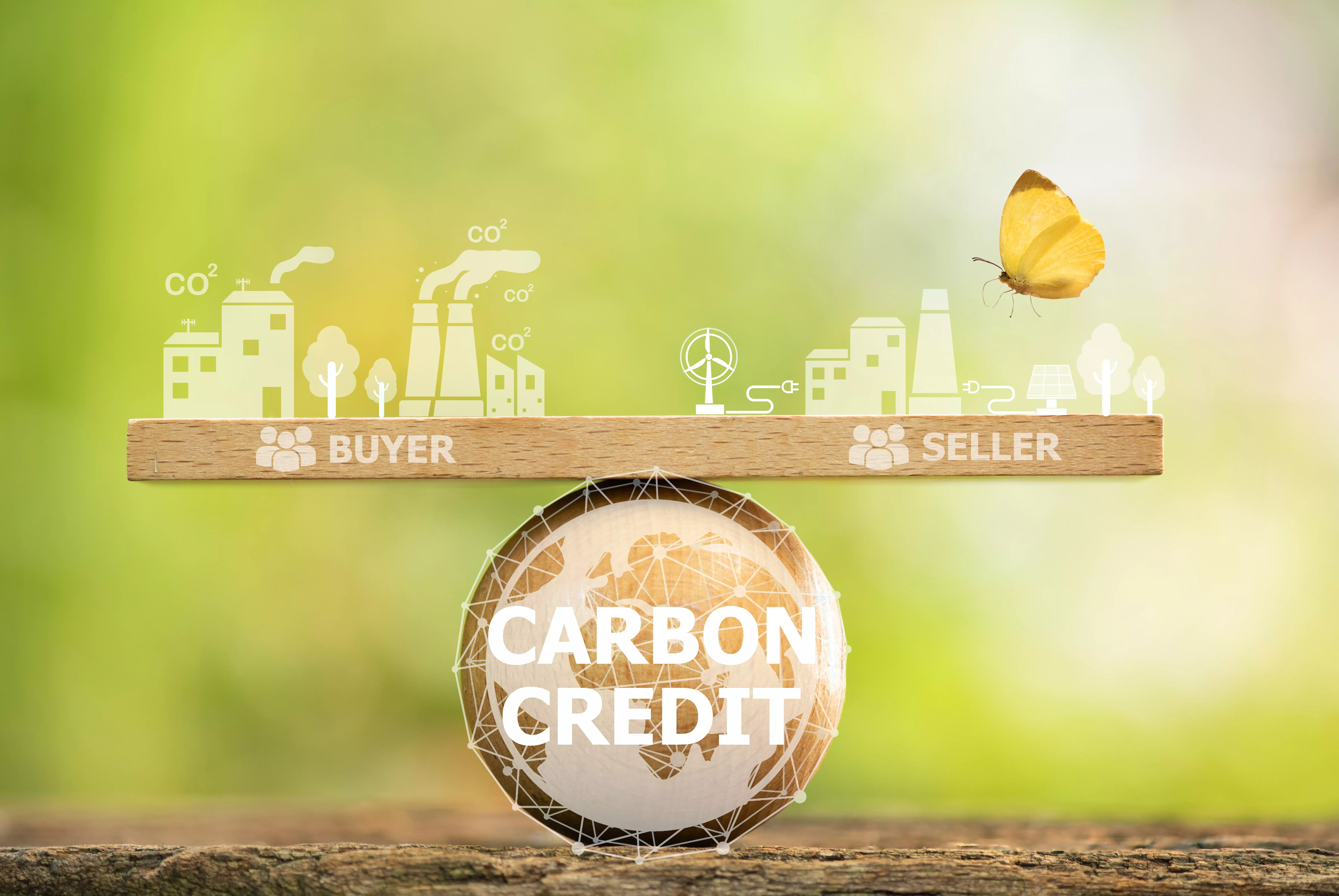 Carbon Credit is the amount of greenhouse gases reduced or store