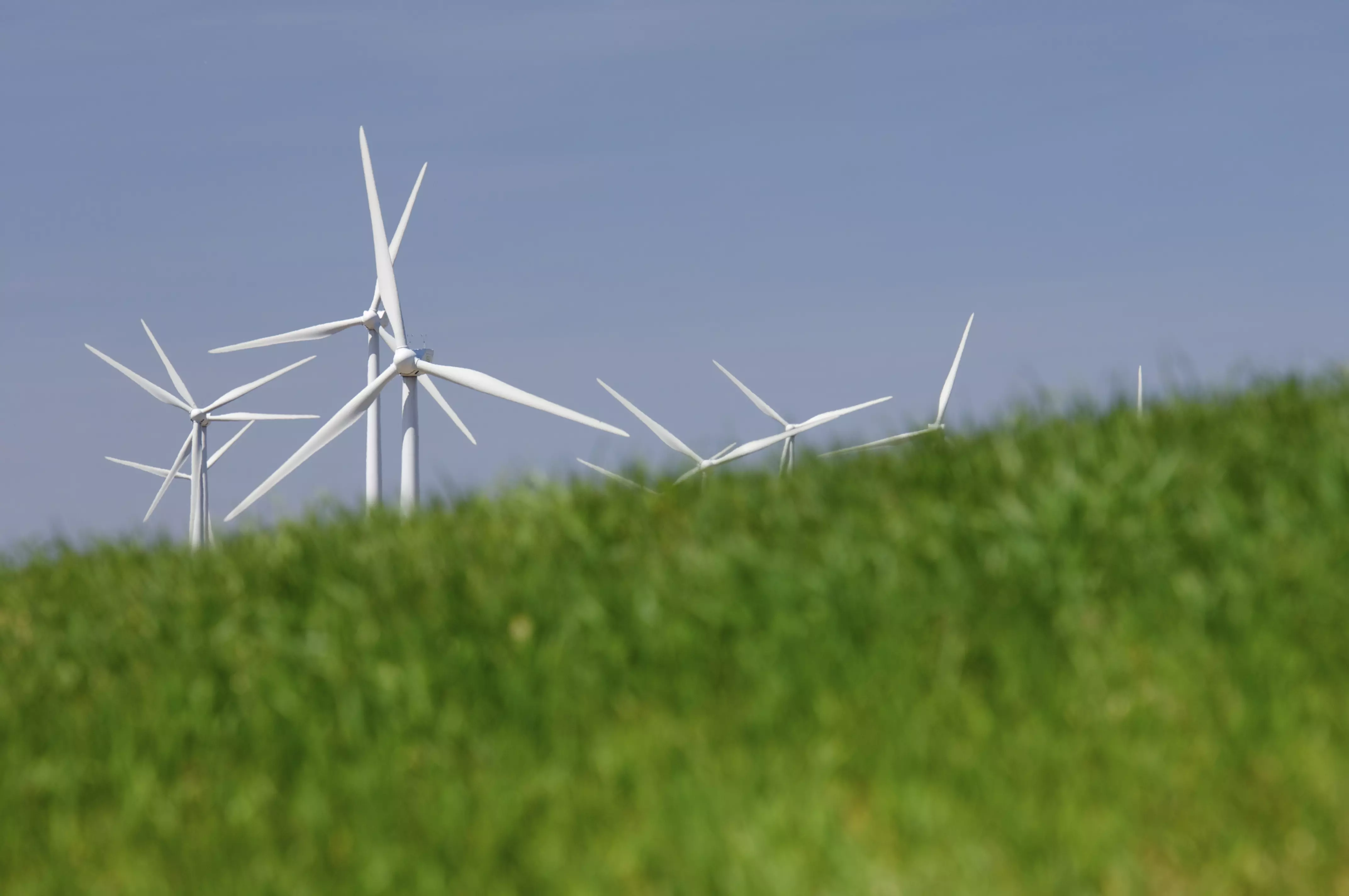 Symbolbild erneuerbare Energien (Windenergie)