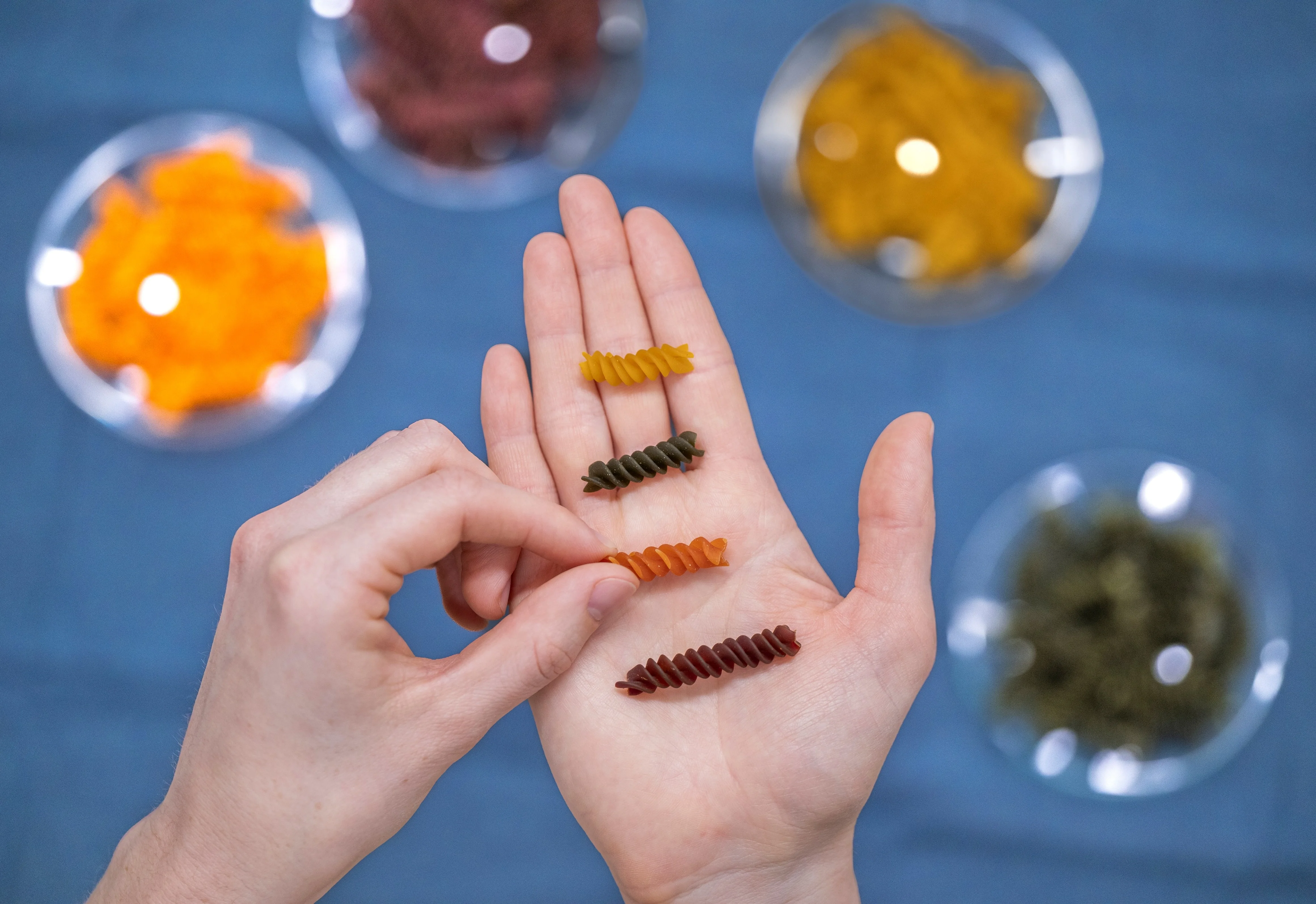 Fusili Pasta in unterschiedlichen Farben , hergestellt mit verschiedenen Nebenströmen. Vier Fusilis liegen auf einer menschlichen Hand, dahinter sind Petrischalen in Tiefenunschärfe, welche mehr Pastas enthalten