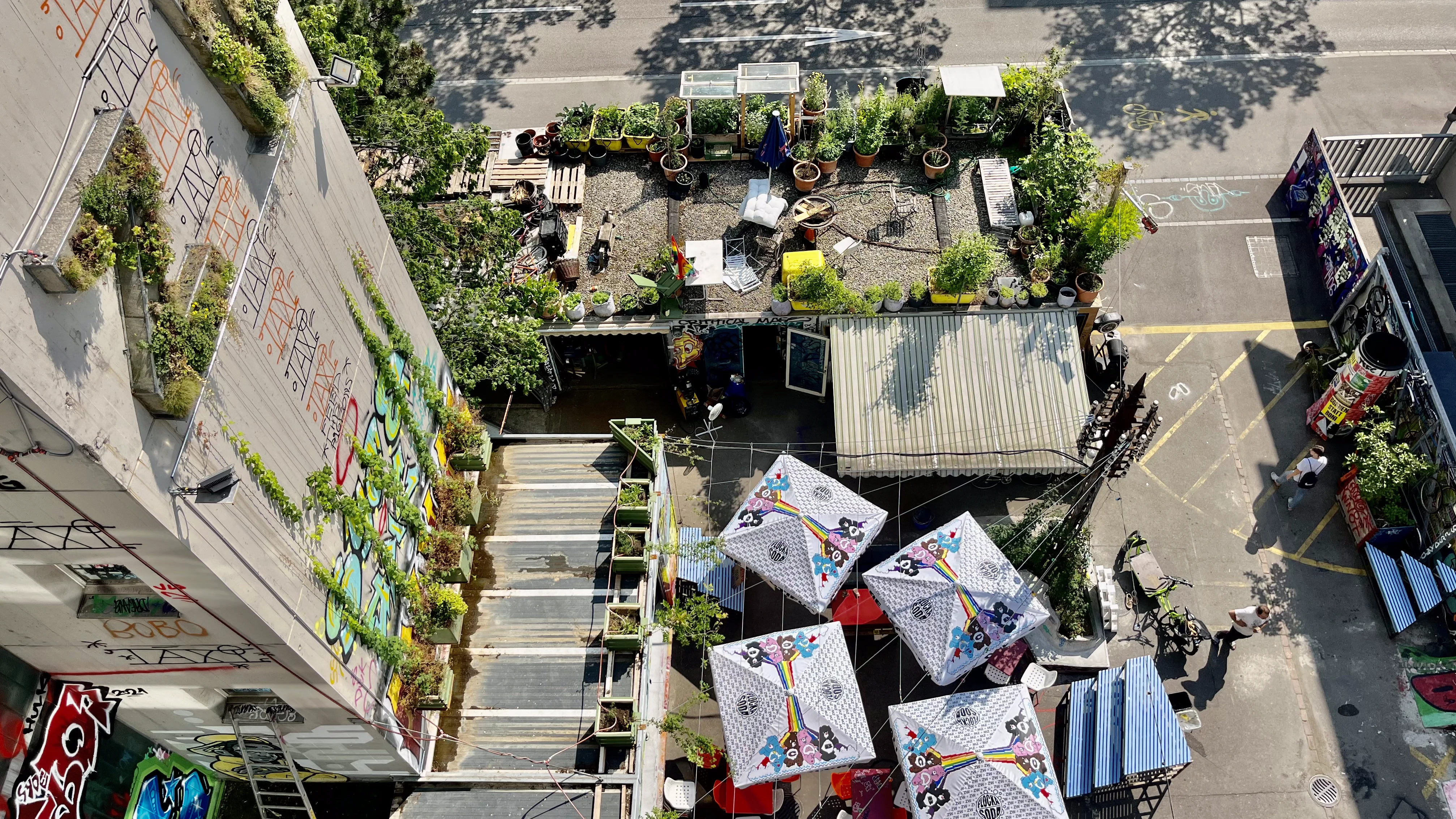 Bird's-eye view of a green courtyard between buildings with plants, umbrellas, and a graffiti-covered facade beside a street.