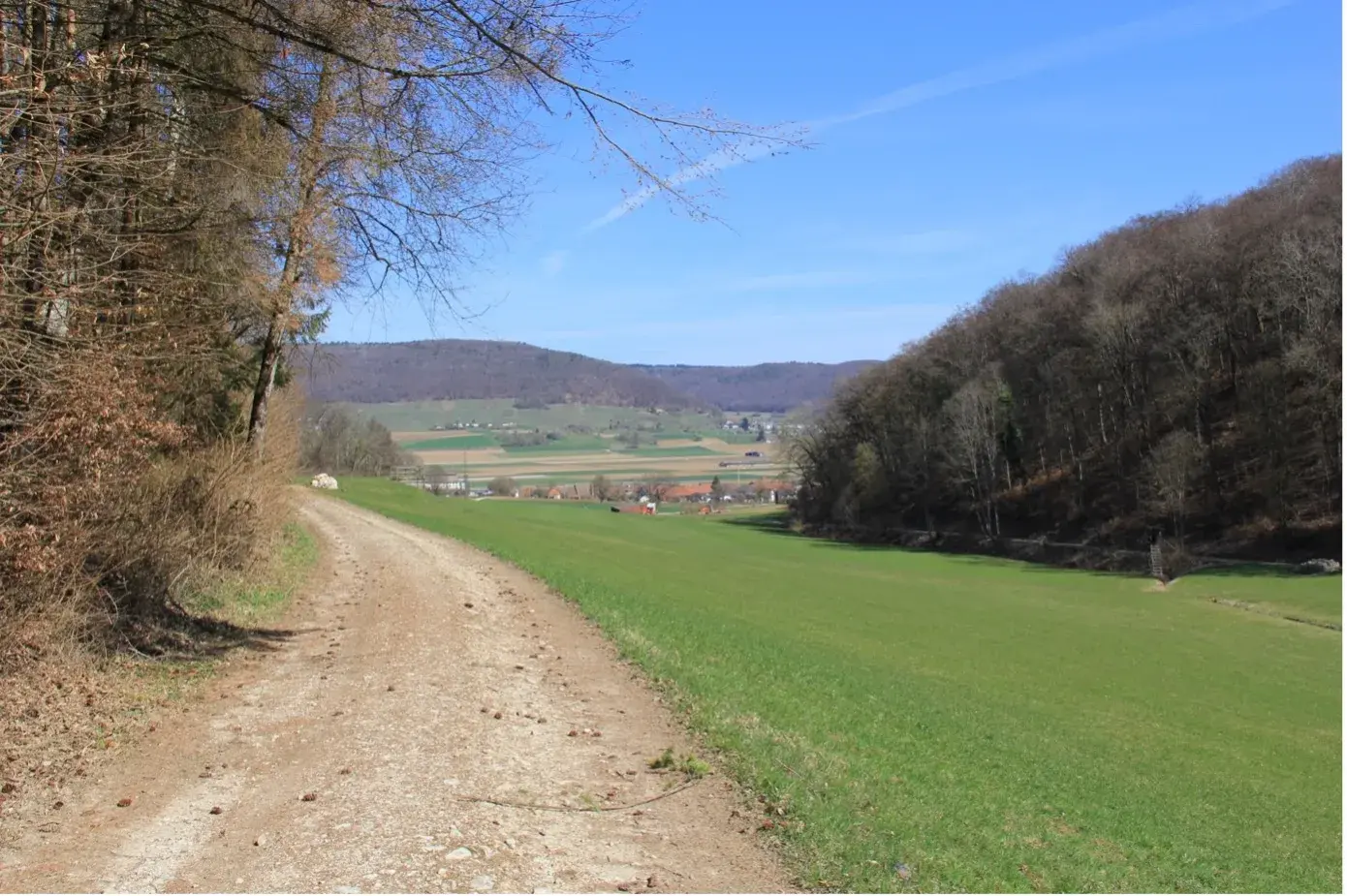 Blick auf das Dorf Guntmadingen und dahinter Beringen.