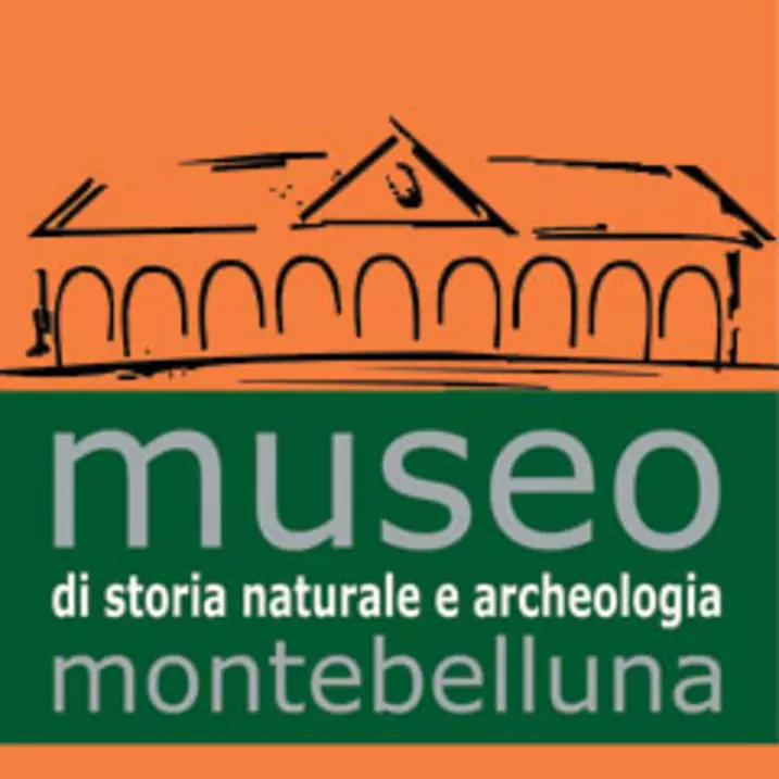 Logo Museo Monteblluna