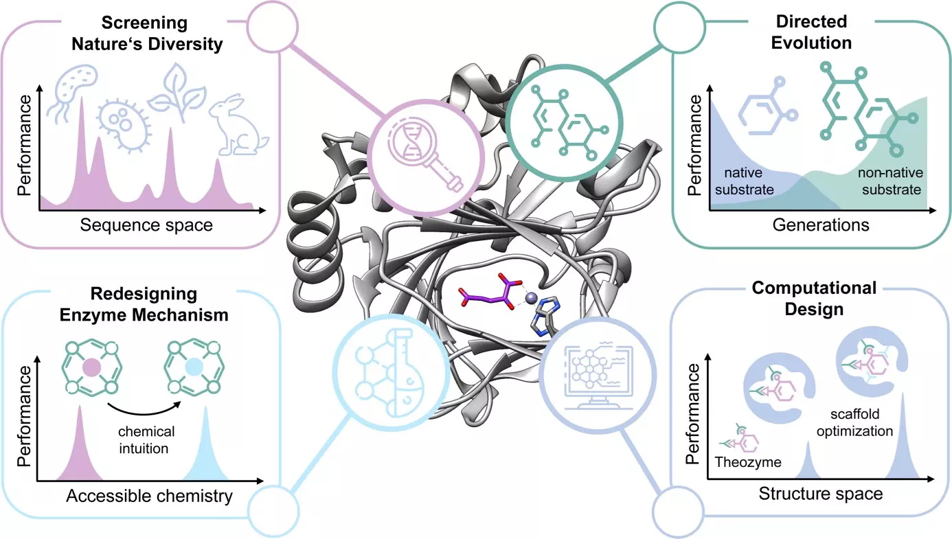 Publication shows the success of biocatalysis from pharmaceuticals to