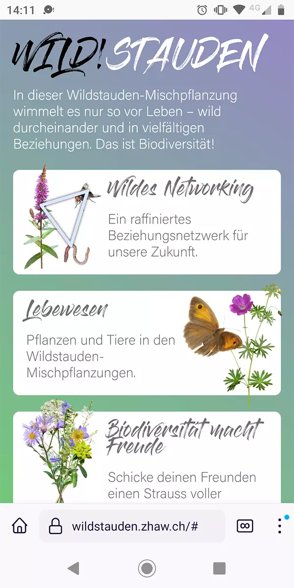 Startseite der Wildstauden-App.