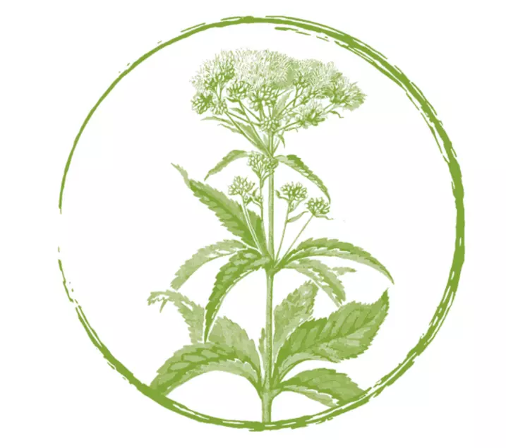 zur Webseite Pflanzensammlung Emmen GmbH