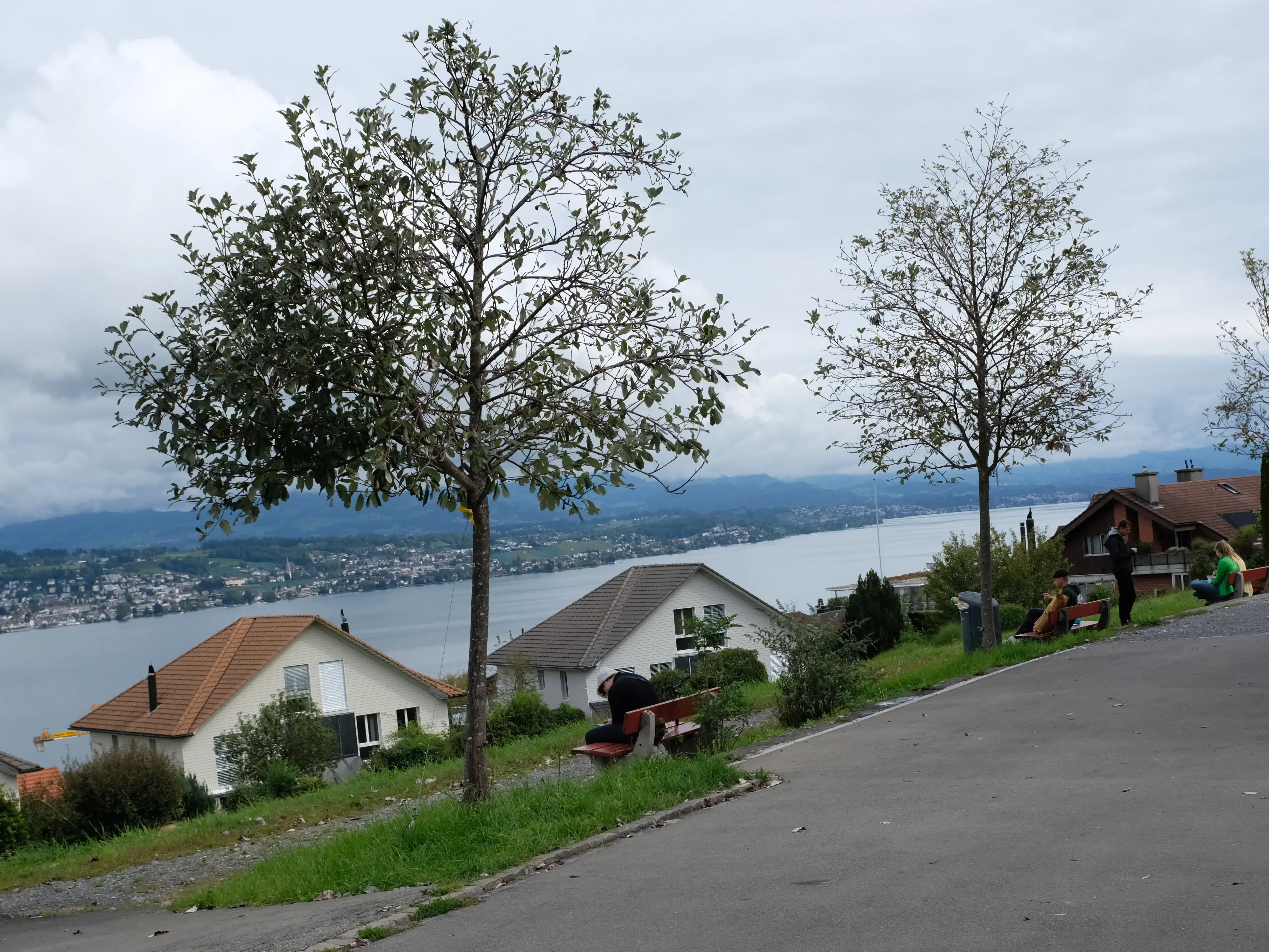 Ob wohl jemand eine bessere Aussicht beim Mittag haben kann?