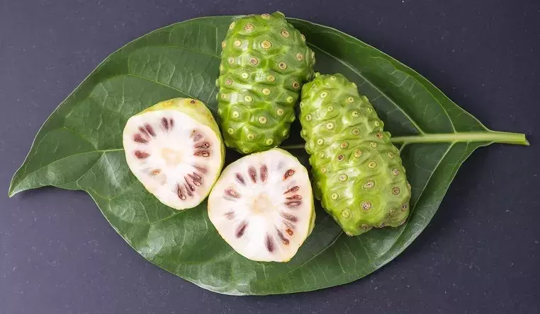 Fruit of Great morinda (Noni) or Morinda citrifolia tree and green leaf on black stone board