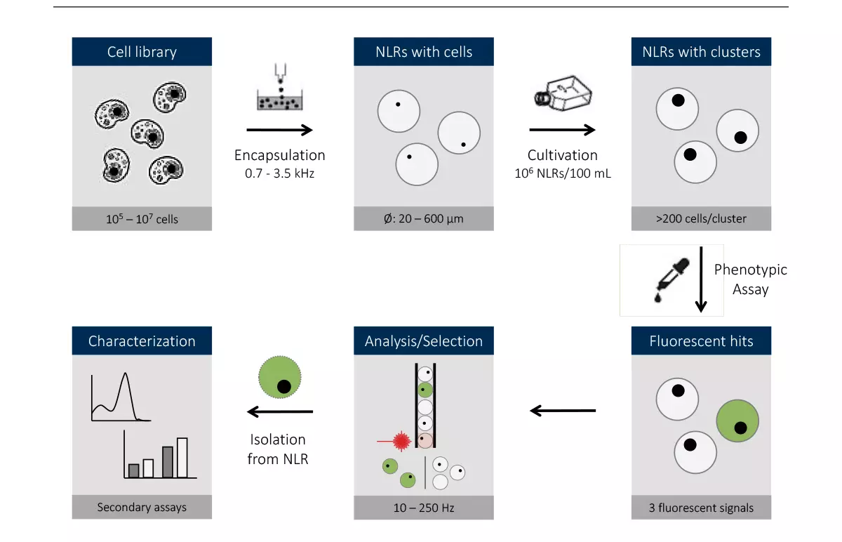 Fig. NLR technology scheme. (Source: FGen)