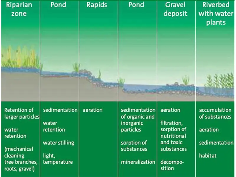 River bed profile