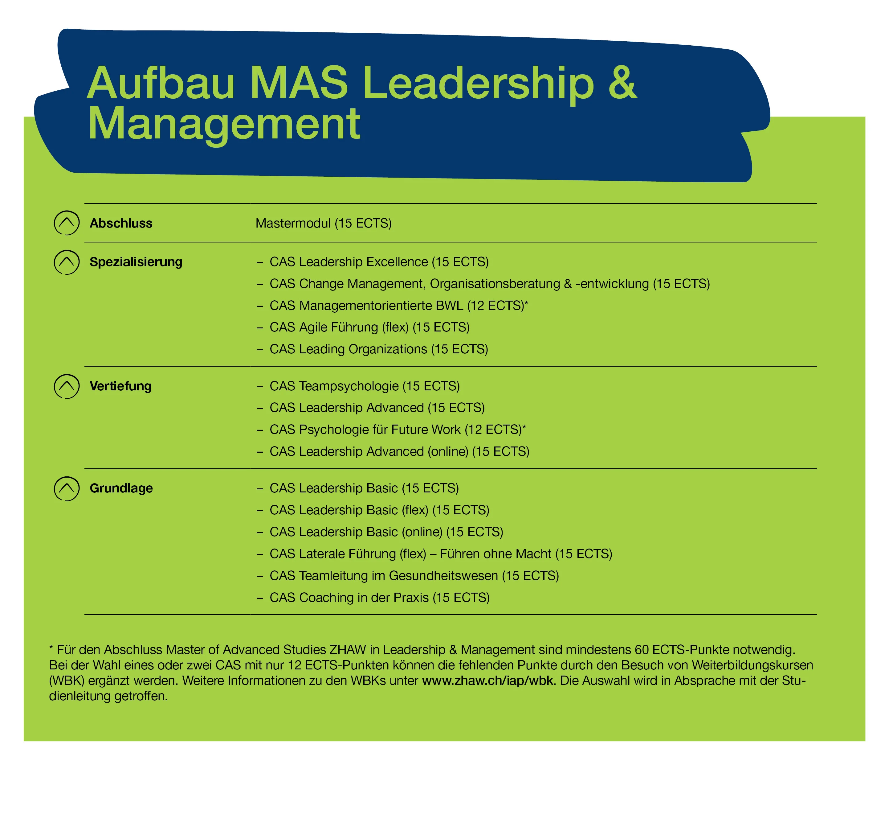 Übersichtsgrafik Aufbau MAS Leadership & Management