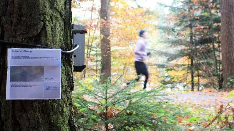 Messinstrument und Infoschild an einem Baum im Wald. Im Hintergrund rennt ein Jogger.