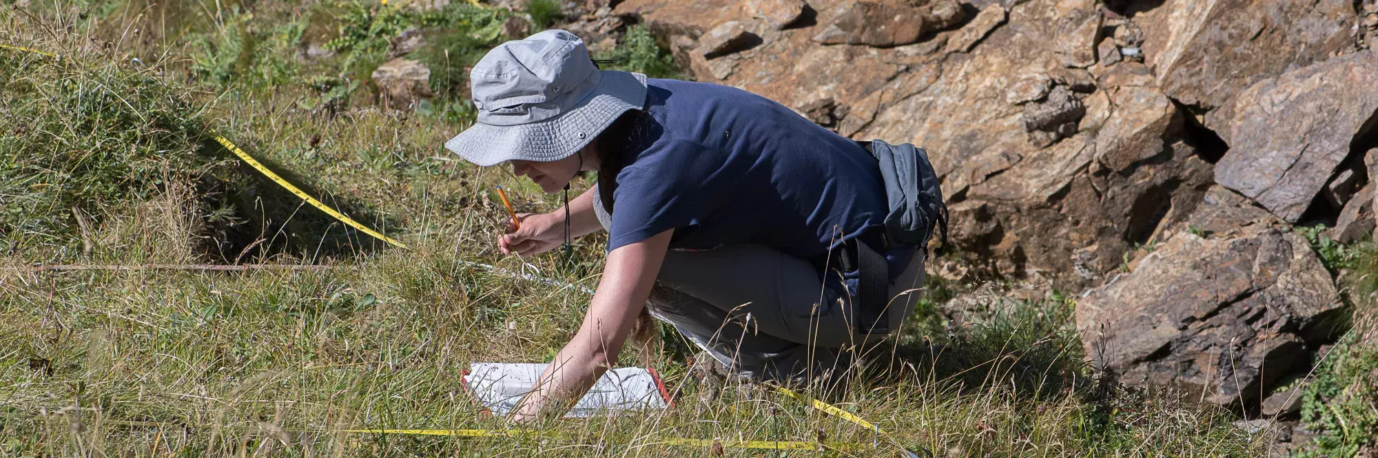 Vegetationsaufnahme auf einem alpinen Rasen