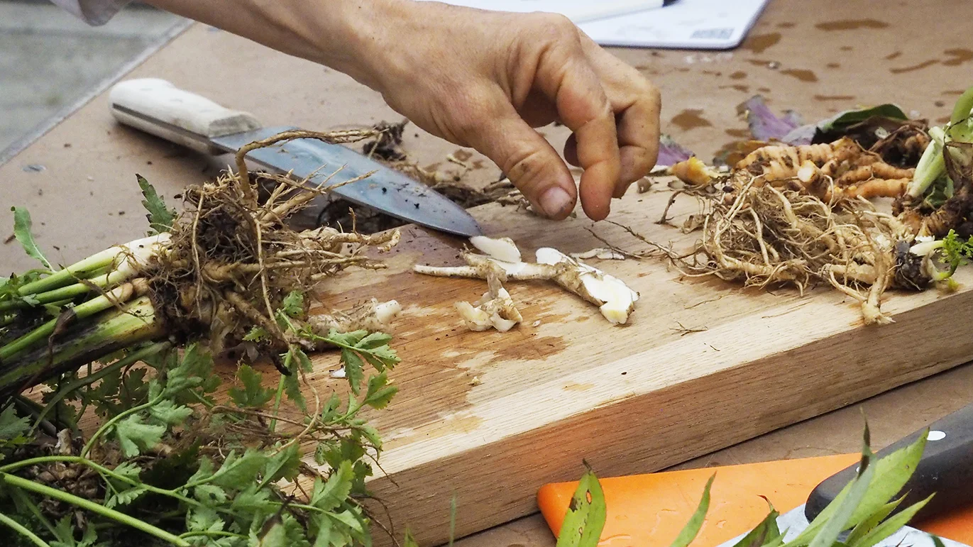 Wurzelarzneien auf einem Schneidebrett