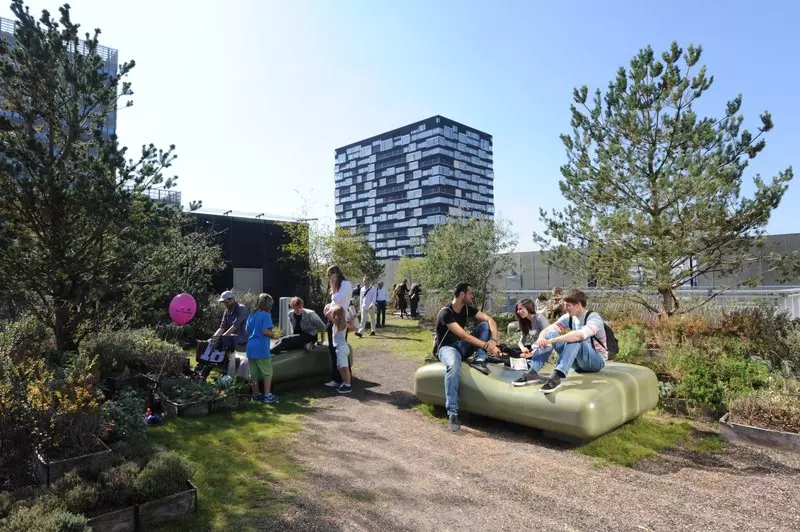 Dachterrasse Toni Areal im Sommer