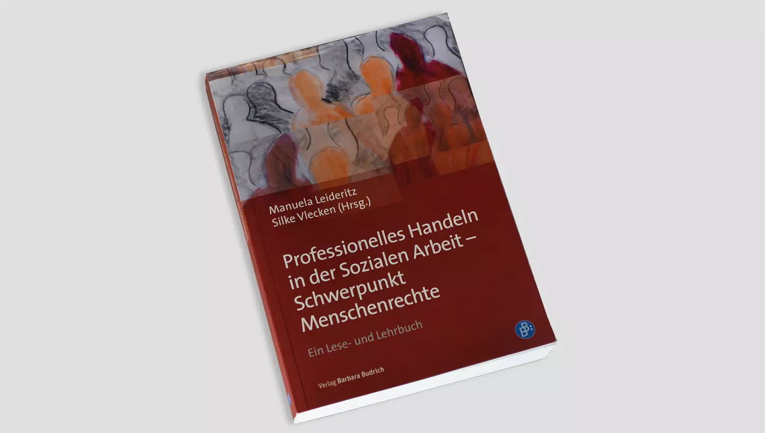 Buch «Professionelles Handeln in der Sozialen Arbeit - Schwerpunkt Menschrechte» von Manuela Leideritz und Silke Vlecken (Hrsg.)