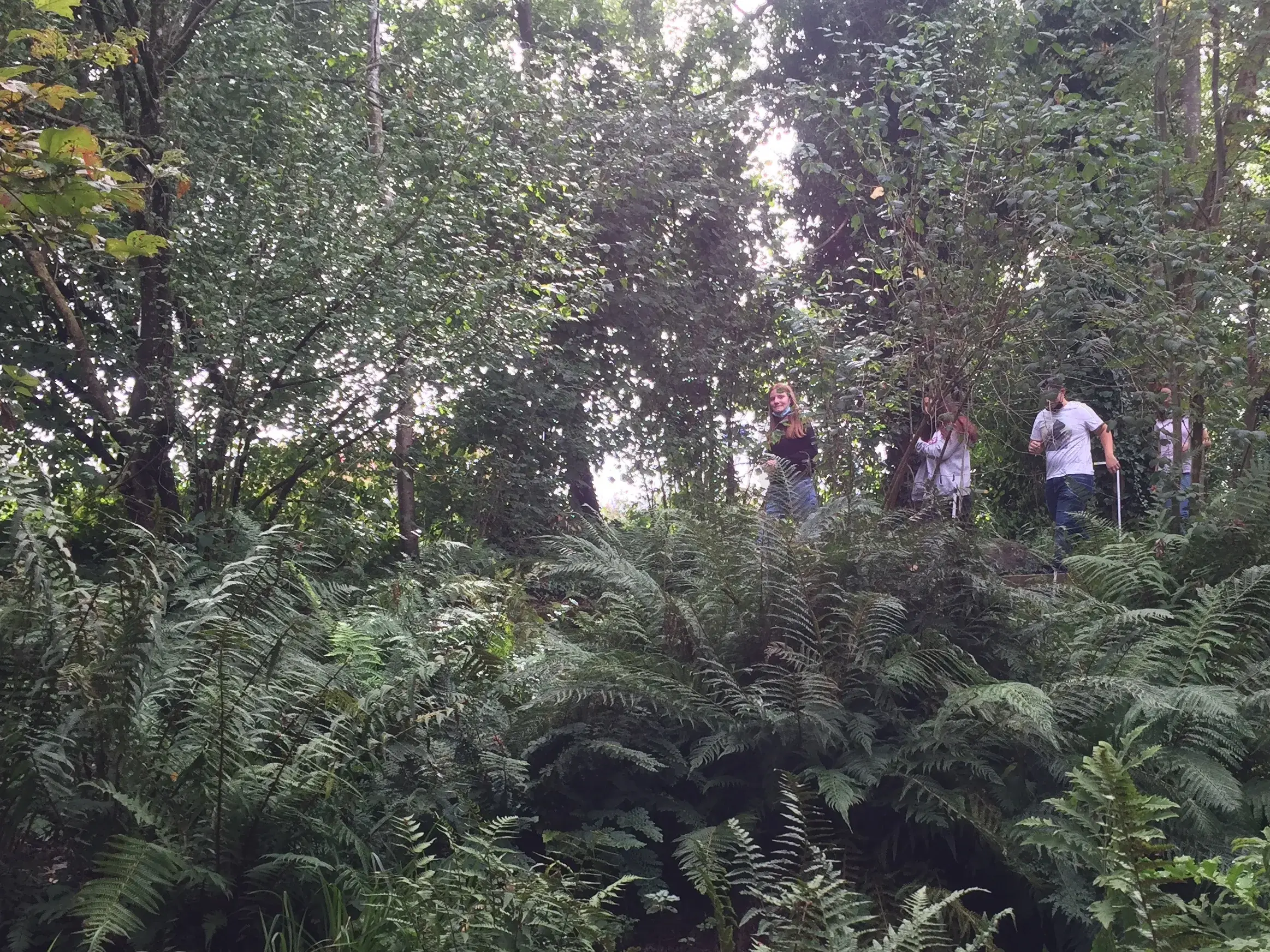 Erkundungstour aller versteckten Wege im Dschungel des Campus Grüental.