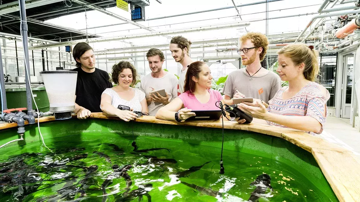 Eine Gruppe von Studierenden steht mit Tablets rund um eine Aquakulturanlage und im Tank sind Fische zu sehen. 
