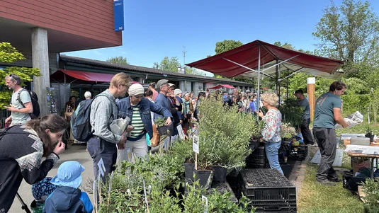 Viele interessierte und kauffreudige Besuchenden