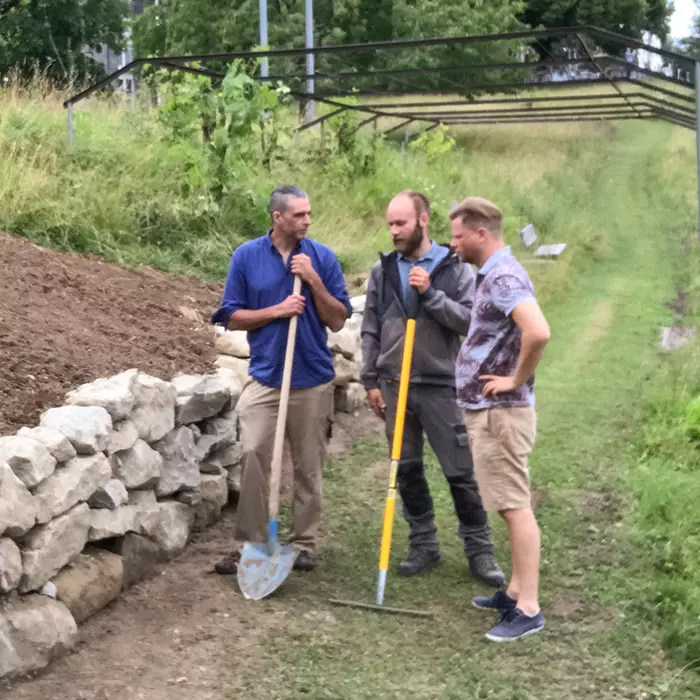 Trockenmauerbau aus wilden Sandsteinen - ein altes Handwerk