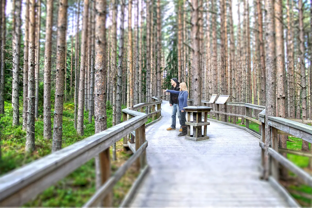Neuer Zertifikatslehrgang: CAS in Narrative Environments für Umwelt und Kultur