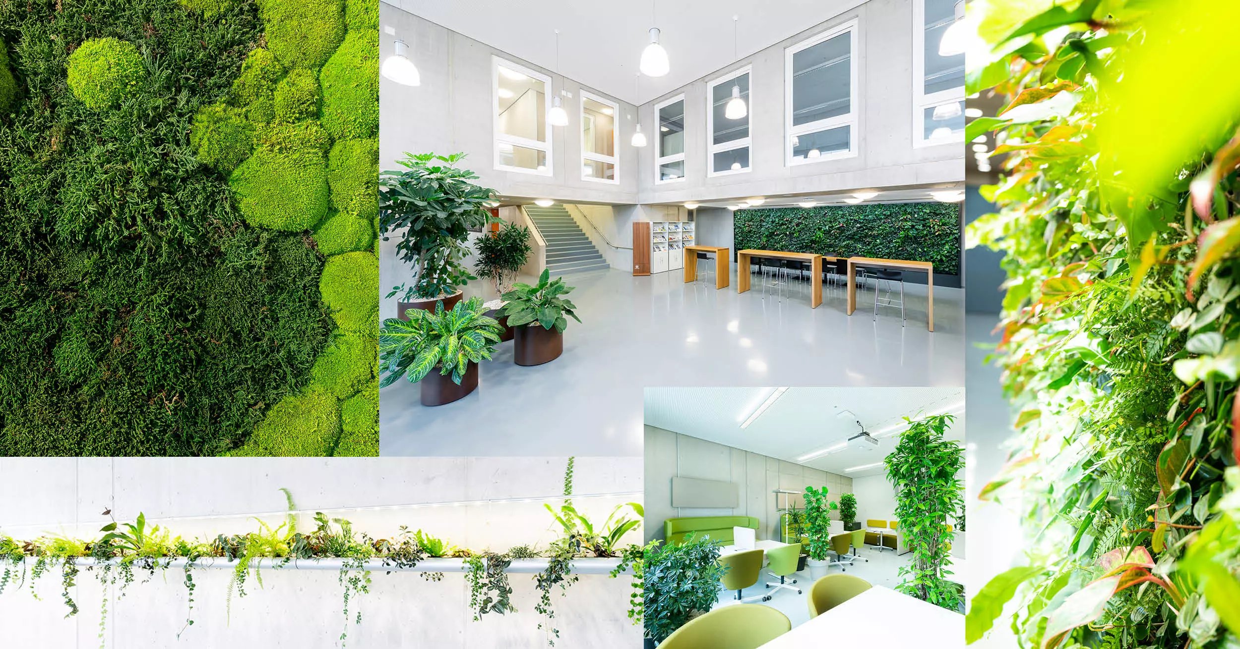 ZHAW Biophilia Living Lab