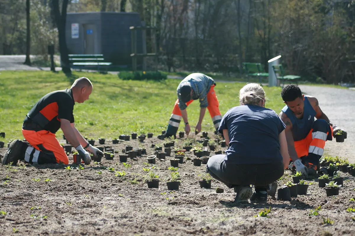 Die Gärtner bei der Arbeit, Bild: Doris Tausendpfund