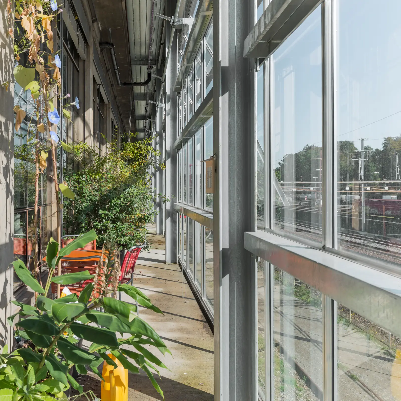 Im vertikalen Garten