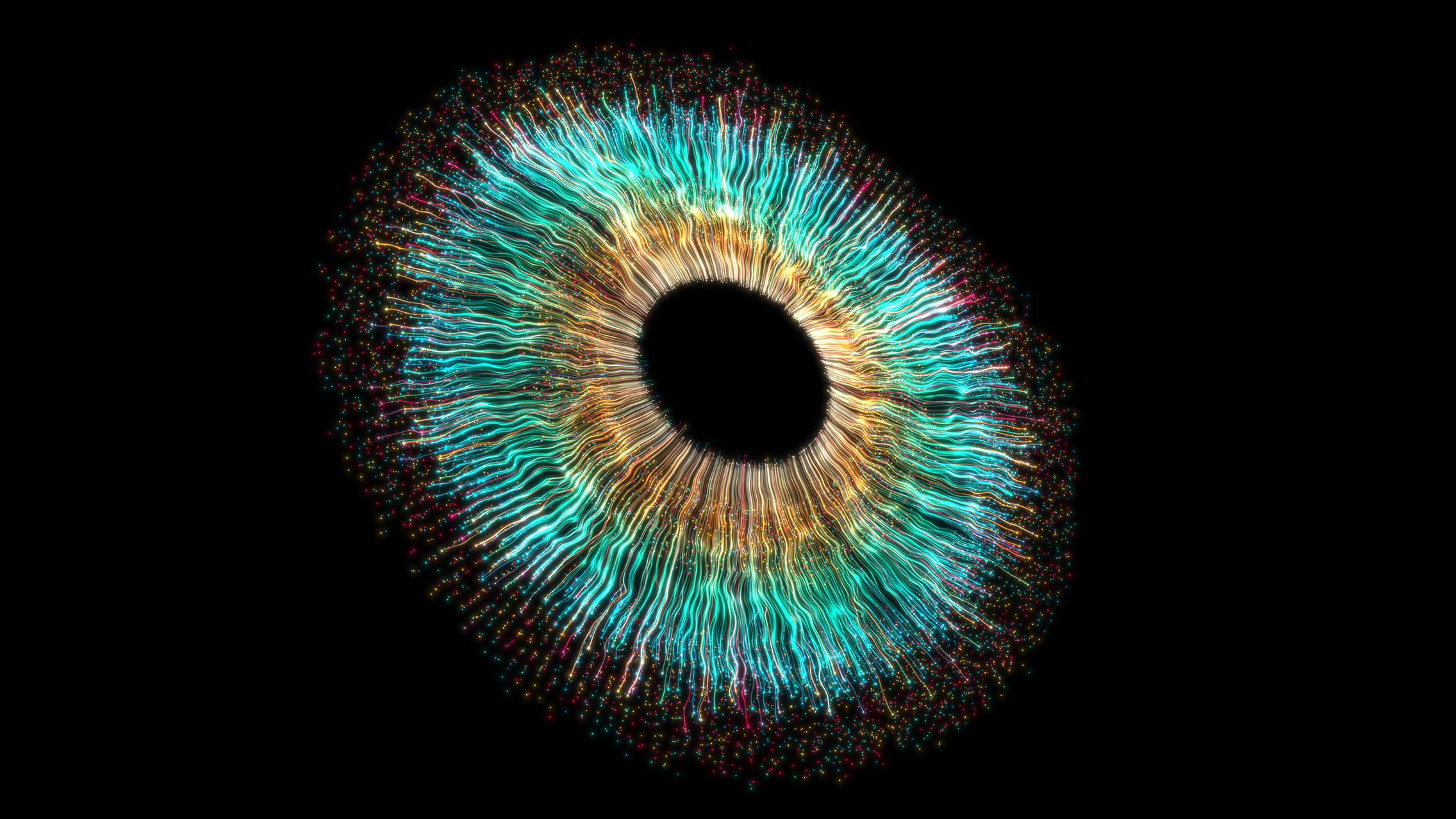Iris of an eye