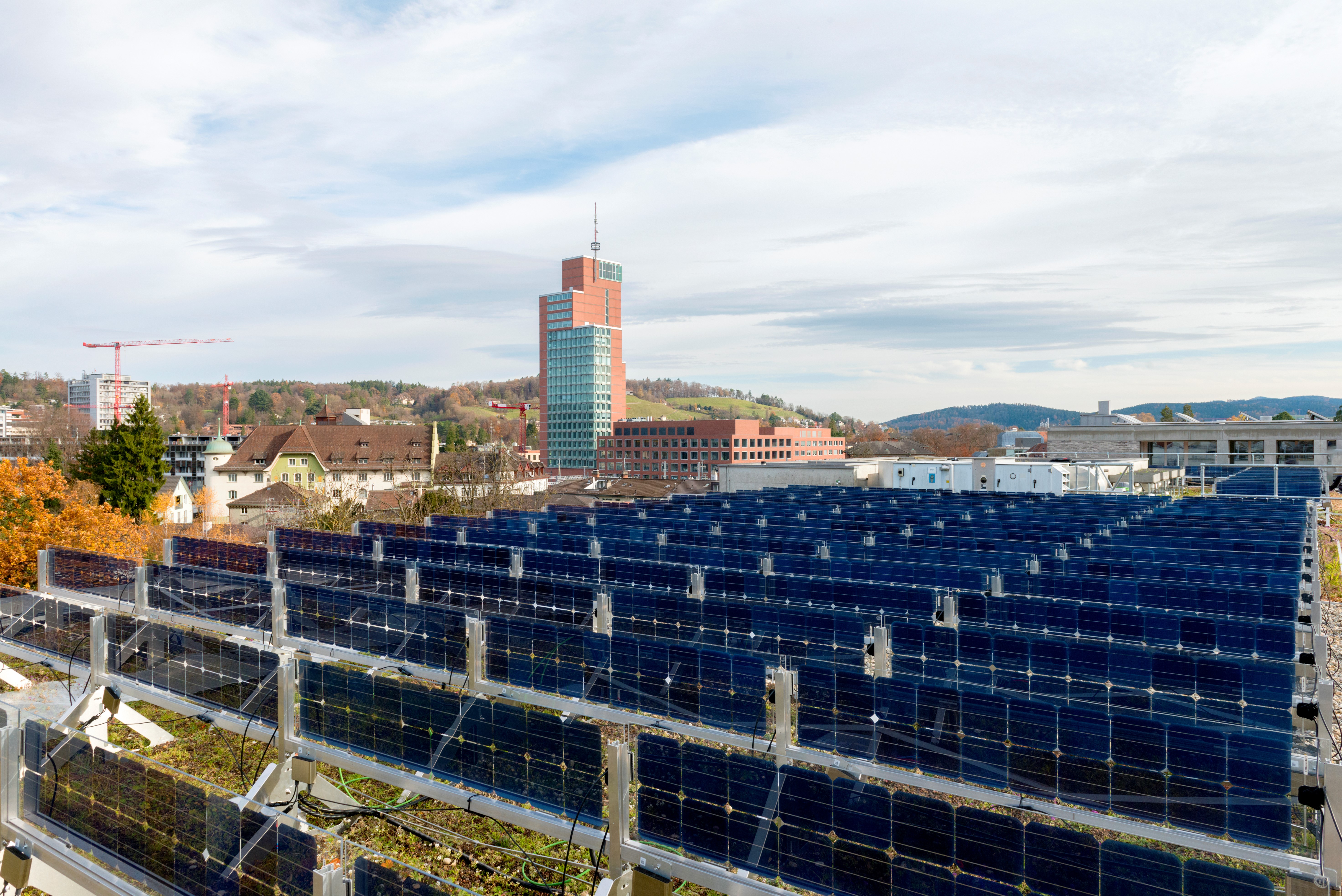 Das Foto zeigt das Gründach in Kombination mit den vertikalen bifazialen Solarmodulen auf dem Testdach in Winterthur.