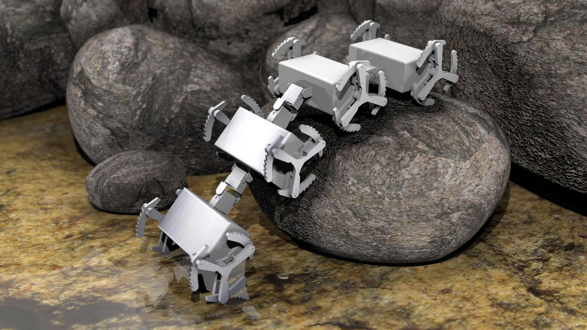 Robo-Hundertfüssler "Centipede"