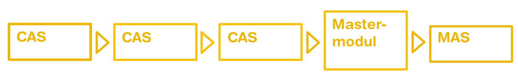 Die Grafik veranschaulicht den modularen Aufbau. Ein Master in Advanced Studies setzt sich zusammen aus 3 Certificate of Advanced Studies und dem Mastermodul zusammen.