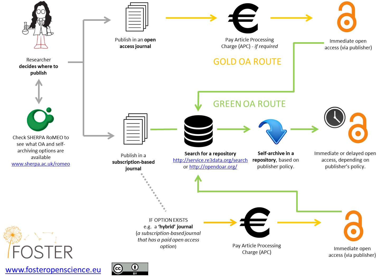 Graphical representation of the routes to open access publication, enlarged view.