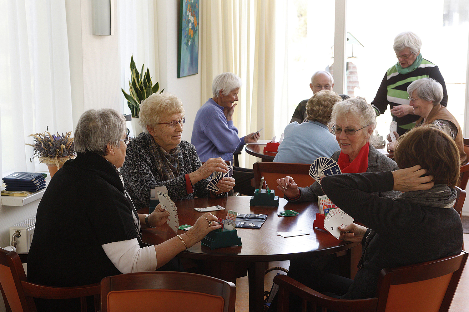 Älterte Menschen spielen zusammen Karten. Symbolbild, für alte Menschen mit Hör- und Sehbeeinträchtigungen, die trotzdem an gesellschaftlichen Anlässen dabei sein wollen.